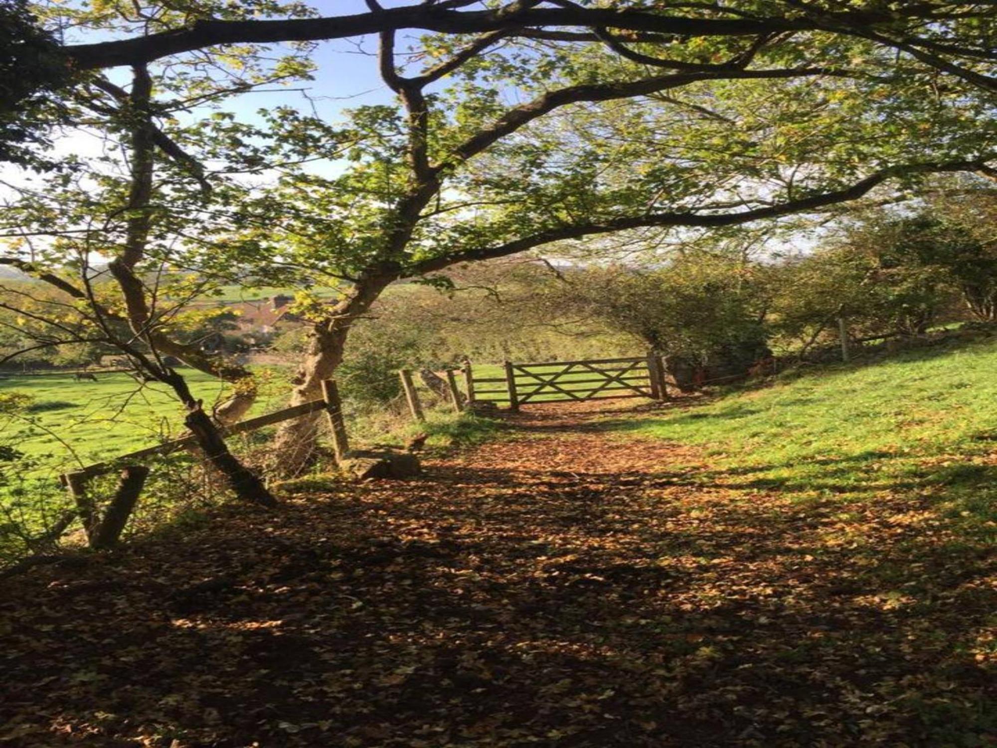 Pass The Keys Wilf'S Barn, Wedmore A Romantic Cottage For Two Экстерьер фото